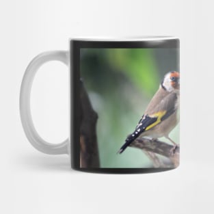 Goldfinch Mug